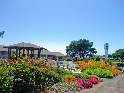 Surf Motel And Gardens Форт-Брэгг Экстерьер фото